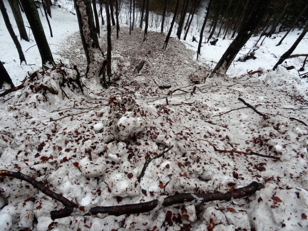 ratitovec23.jpg