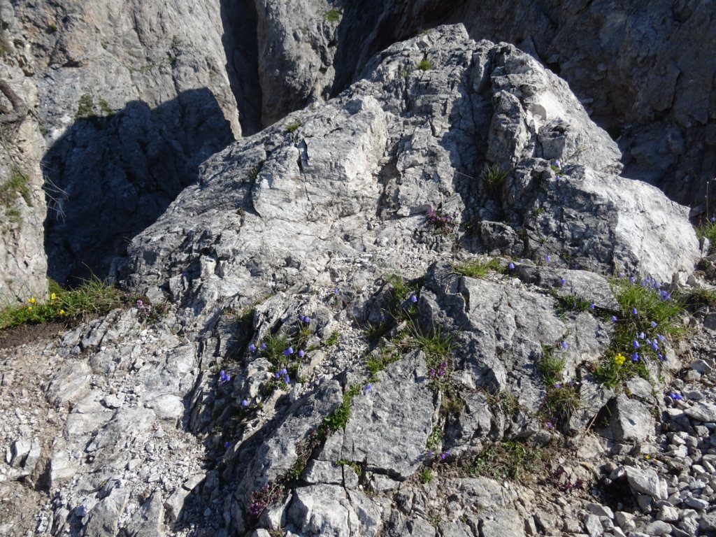 reisskofel201921.jpg