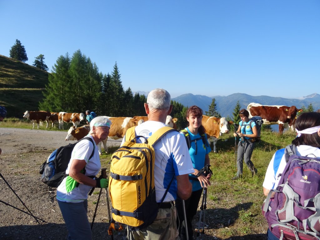 reisskofel20193.jpg