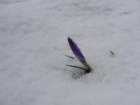 rifnikresevna33_small.jpg