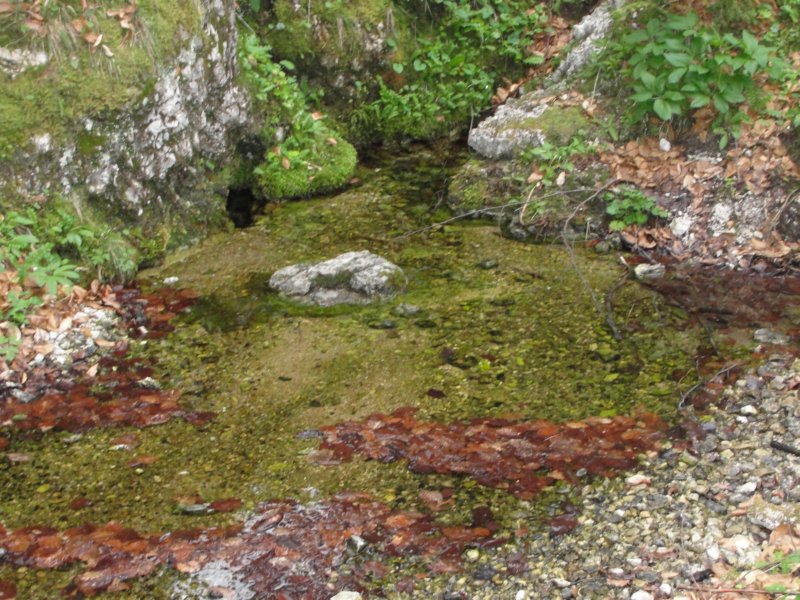 obrimzaporah10.jpg