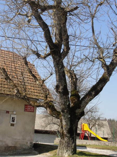 obrimzaporah35.jpg