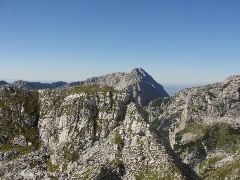 rinke10.jpg