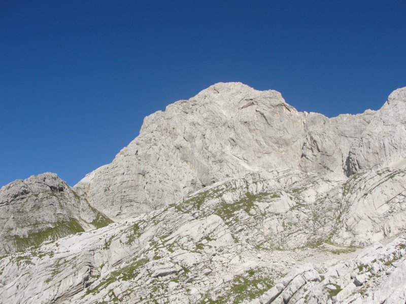 rinke12.jpg