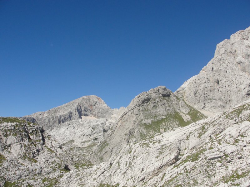 rinke18.jpg