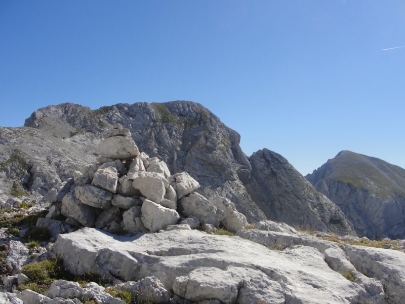 rinke21.jpg