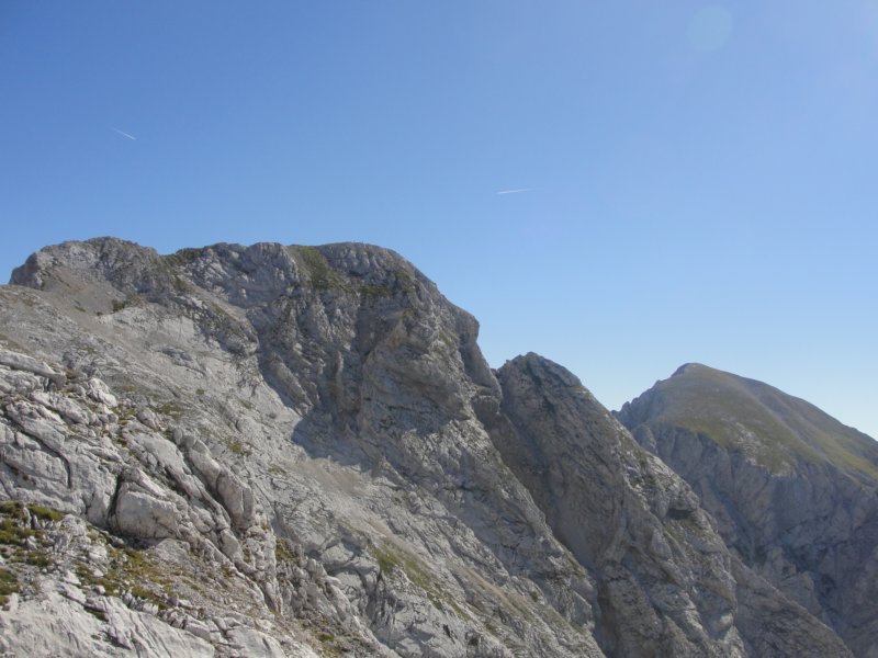 rinke24.jpg