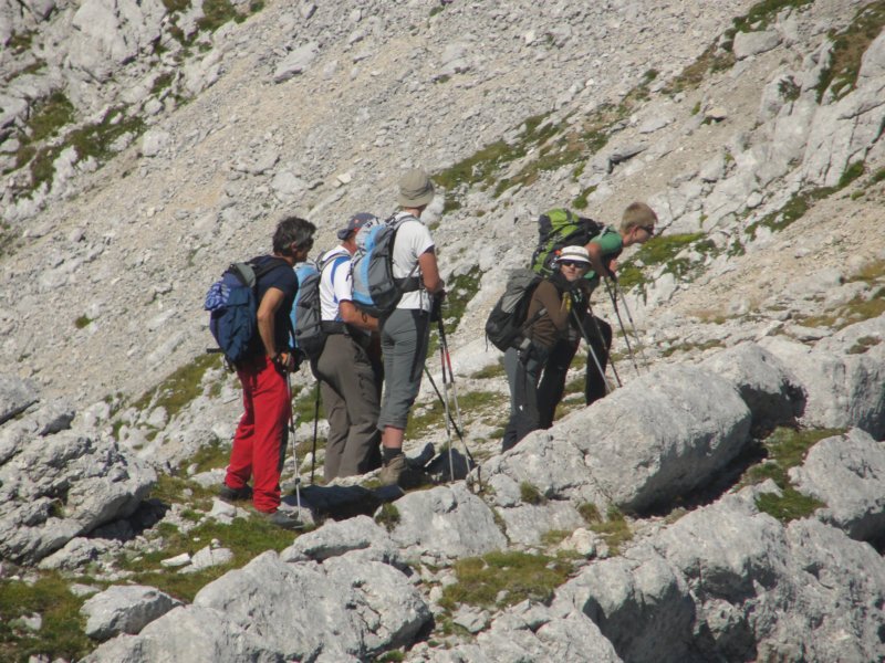 rinke30.jpg