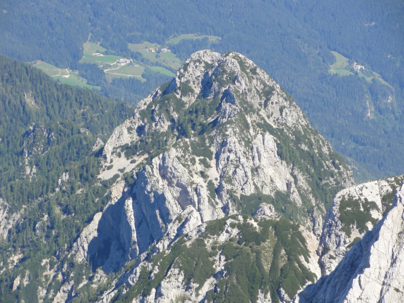 rinke45.jpg