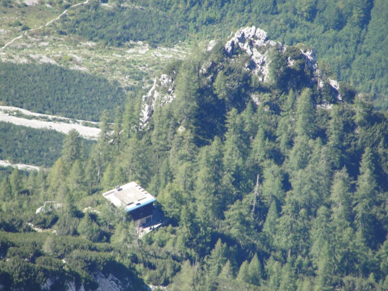 rinke58.jpg