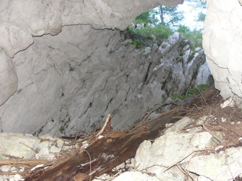 rinke7.jpg