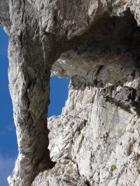 rinke71.jpg