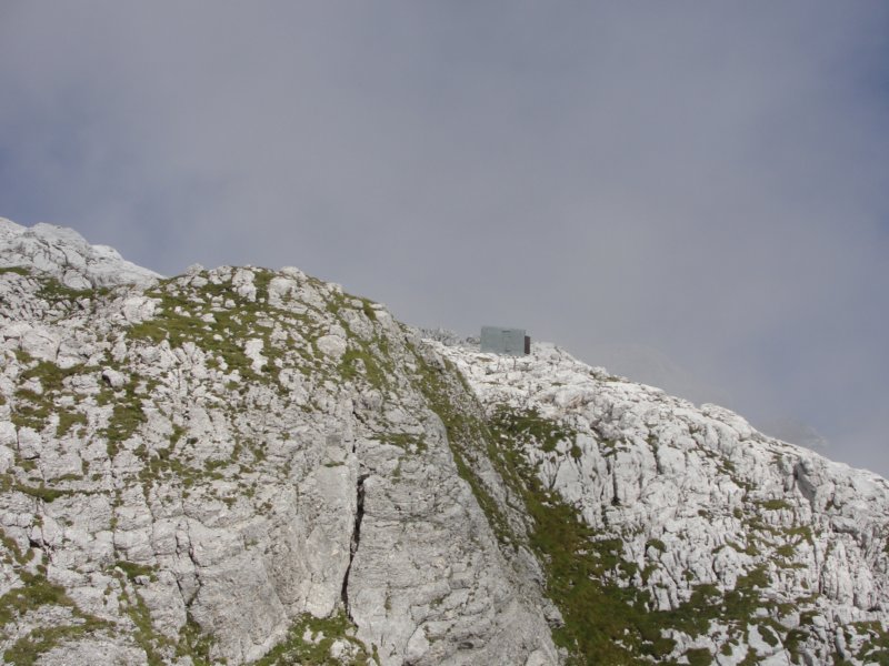 rinke75.jpg