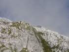 rinke75_small.jpg