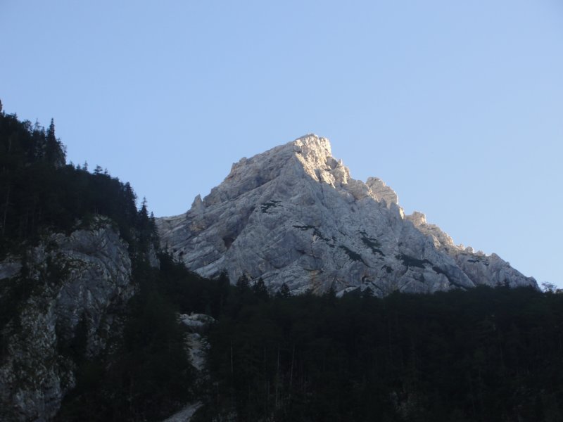 rinke9.jpg