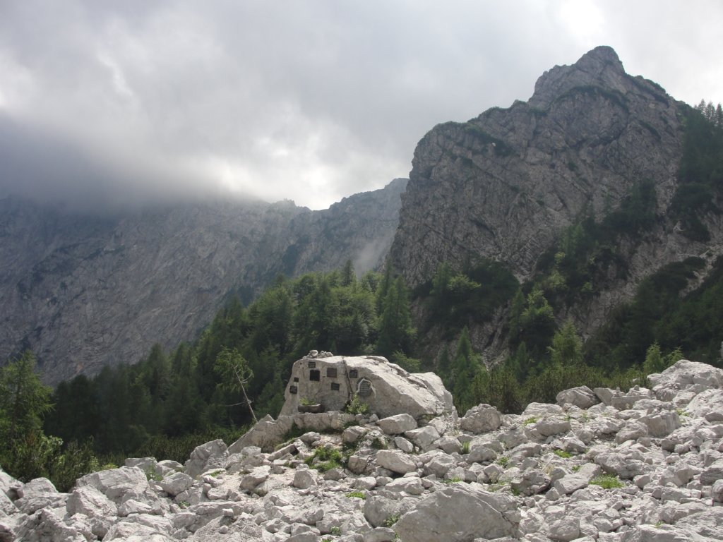rinkekri48.jpg