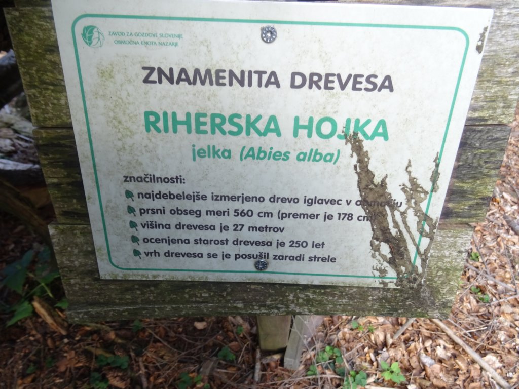 rogatec202014.jpg