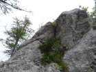 rogatec202069_small.jpg