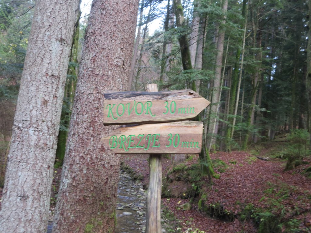 ronovenskapot19.jpg