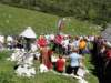 rzenik201211_small.jpg