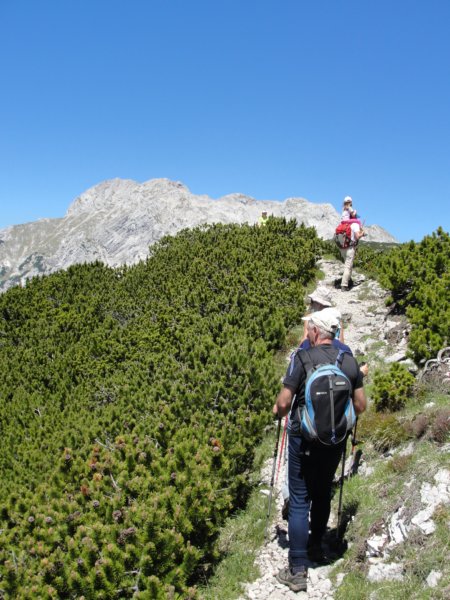 rzenik201221.jpg