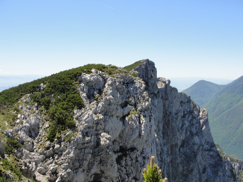 rzenik201222.jpg