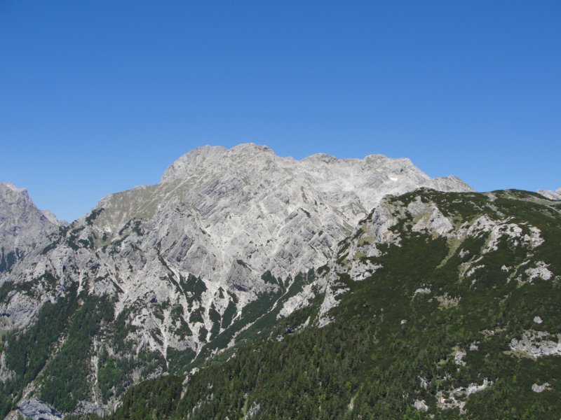 rzenik201223.jpg