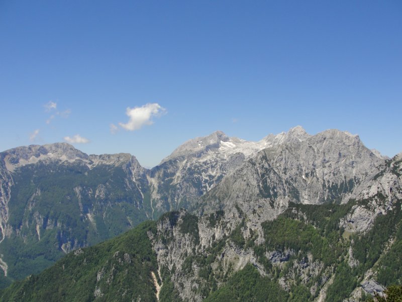 rzenik201229.jpg