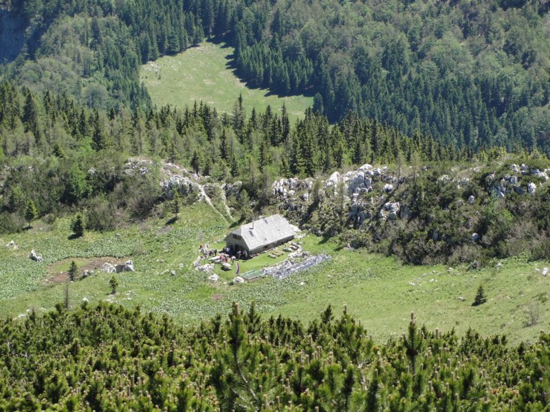 rzenik201231.jpg
