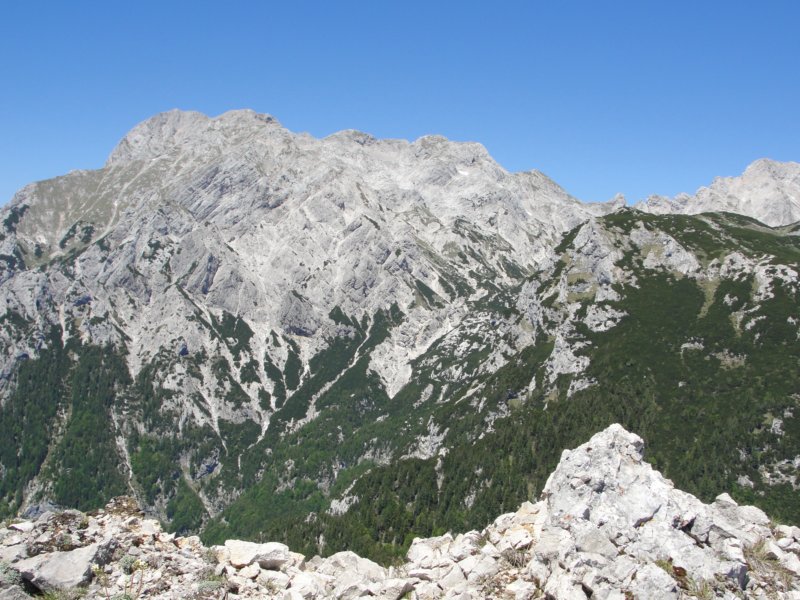rzenik201232.jpg