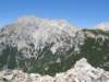rzenik201232_small.jpg