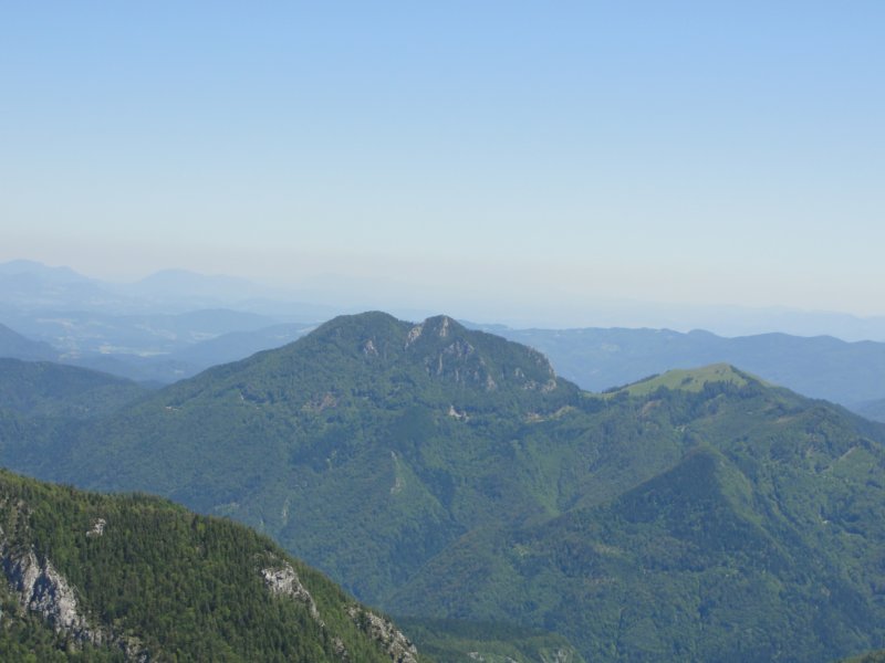 rzenik201235.jpg