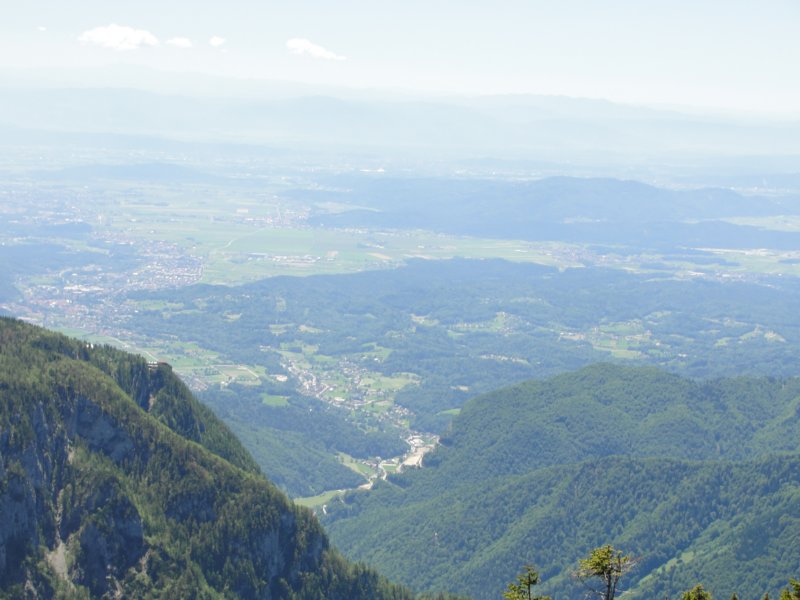 rzenik201236.jpg