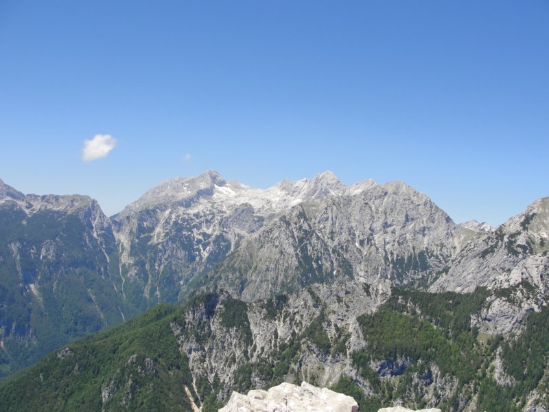 rzenik201239.jpg
