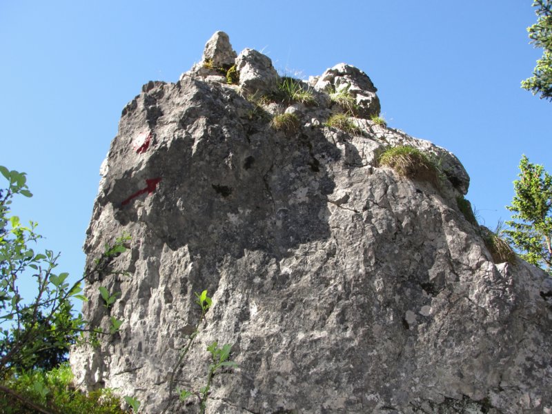 rzenik20124.jpg