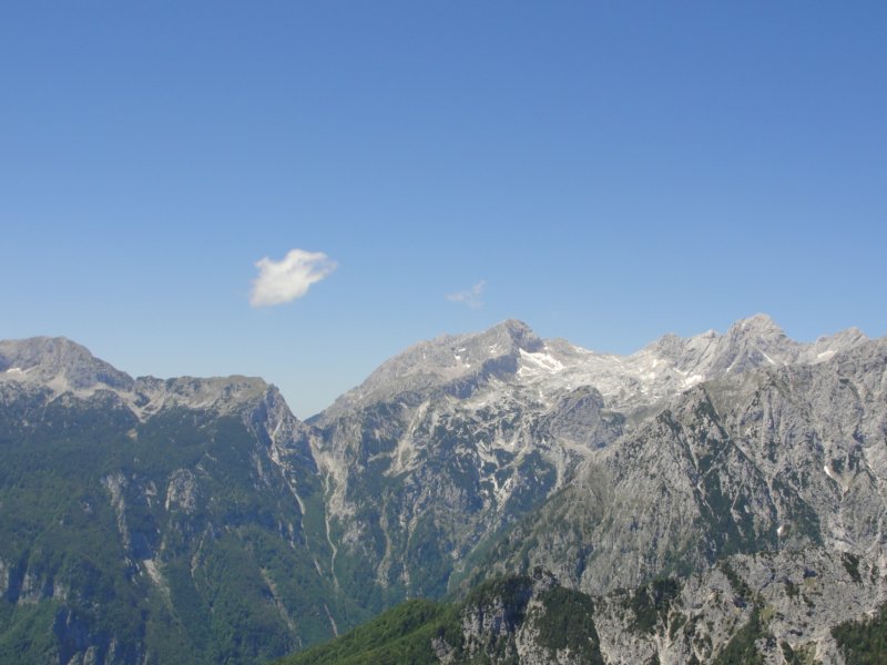 rzenik201241.jpg