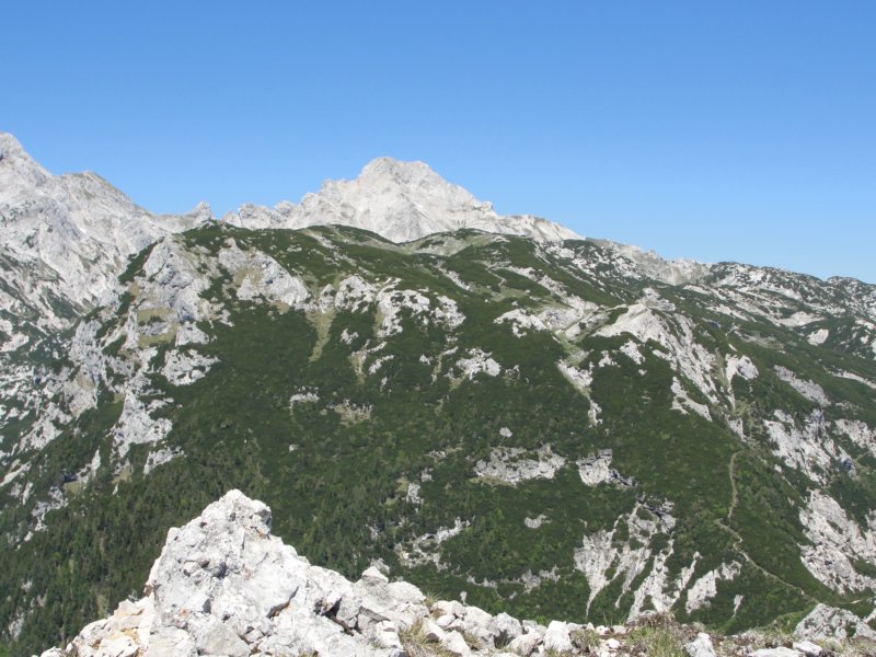 rzenik201242.jpg