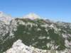 rzenik201242_small.jpg
