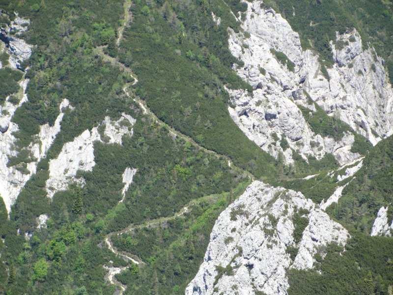 rzenik201243.jpg