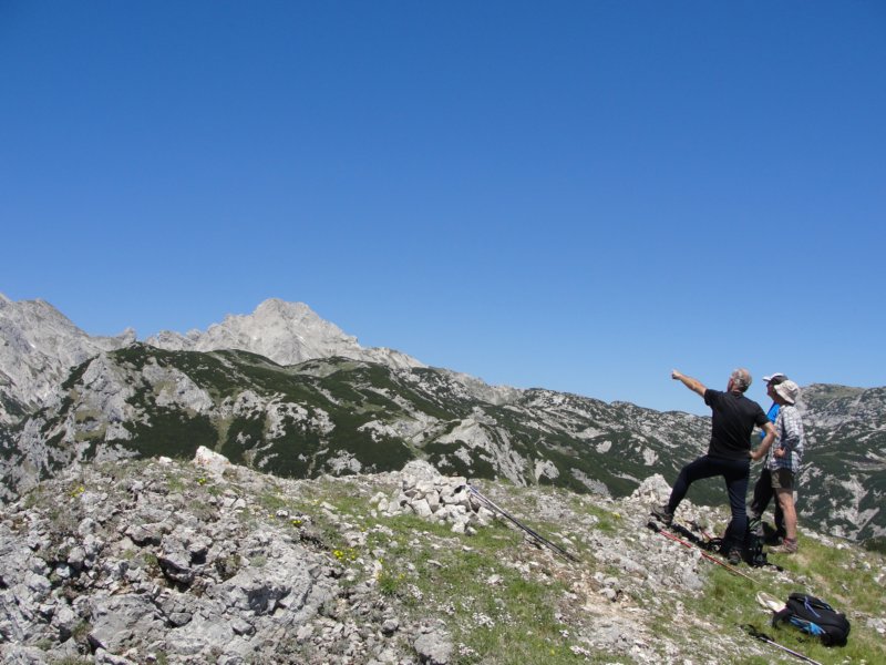 rzenik201246.jpg