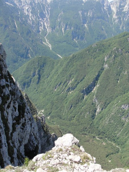 rzenik201247.jpg