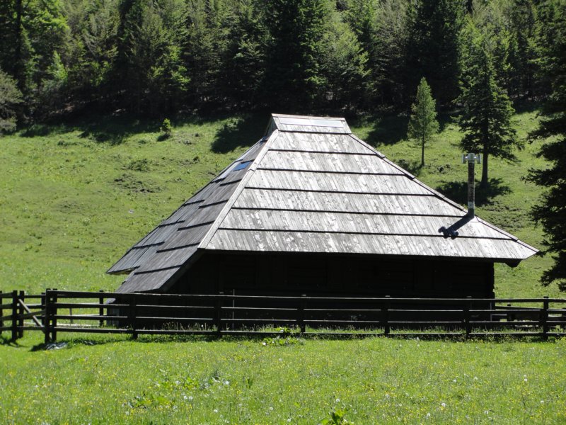 rzenik201248.jpg