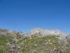 rzenik201249_small.jpg