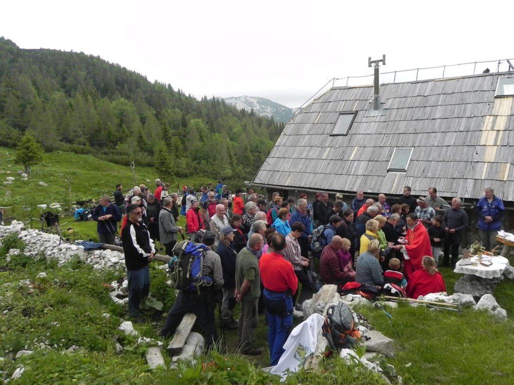 rzenik18.jpg
