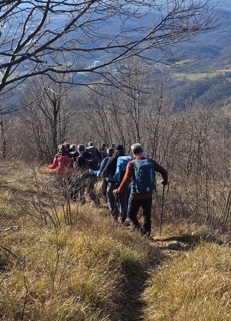 sabotin202533.jpg
