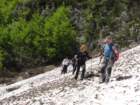 kafinkocbekovopriznanje201339_small.jpg
