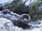 skala201226_small.jpg
