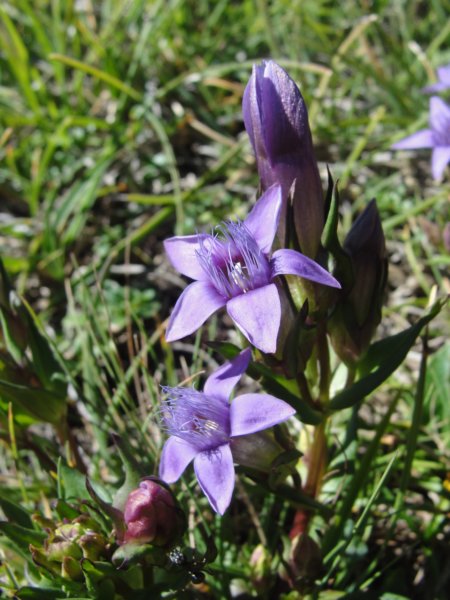 skala201236.jpg