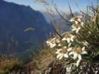 skala201237_small.jpg