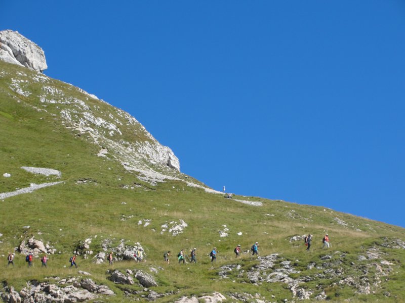skala201241.jpg